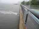 S.W.I.M. - StormWater Infrastructure Matters
