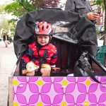 Cortelyou Rd. Park: very friendly Bella Bike