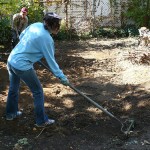 Clearing land