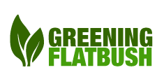Greening Flatbush