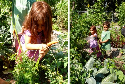 Garden2