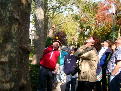 Fall 2010 Street Tree Walking Tour